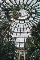 Greenhouses of Laeken, Brussels, Belgium | Botanical Photoprint | Tumbleweed & Fireflies Pho