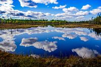 "Reflection" in Oulanka National Park, Finland.