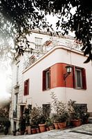 Vrolijk gekleurd huis met planten - Botanische fine art print