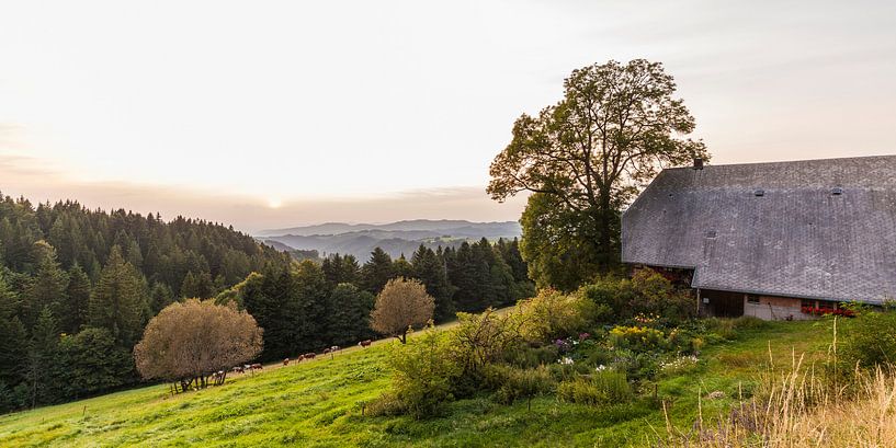 Ferme de la Forêt Noire en Forêt Noire au coucher du soleil par Werner Dieterich