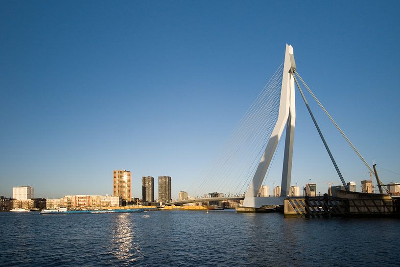 The Erasmus Bridge in the spotlight by Pieter van Roijen
