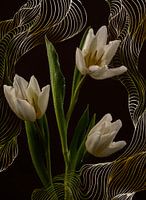 Niederländische weiße Tulpen mit digitalen grafischen Linien