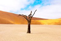 L'art à l'état pur... 