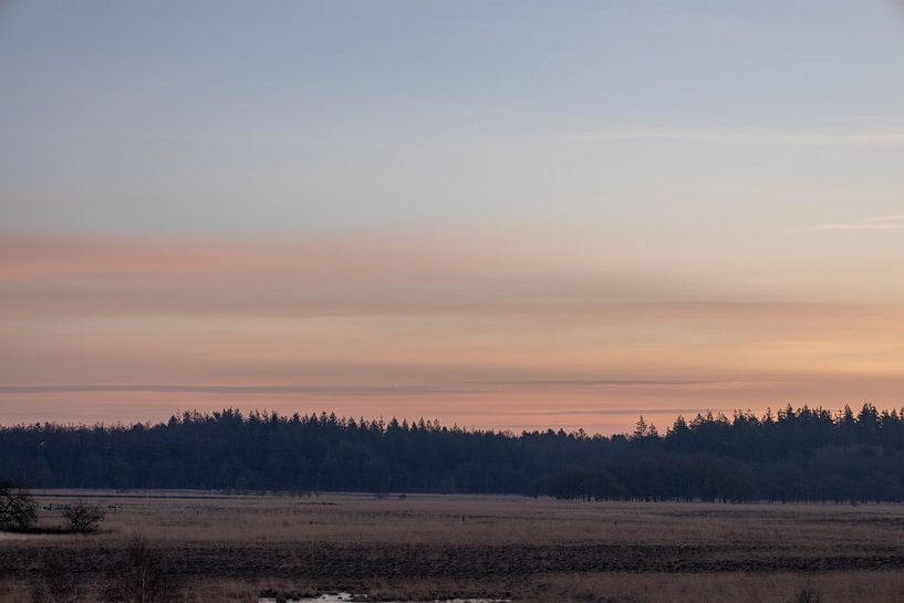 Beau lever de soleil sur les landes par Lieneke Holst