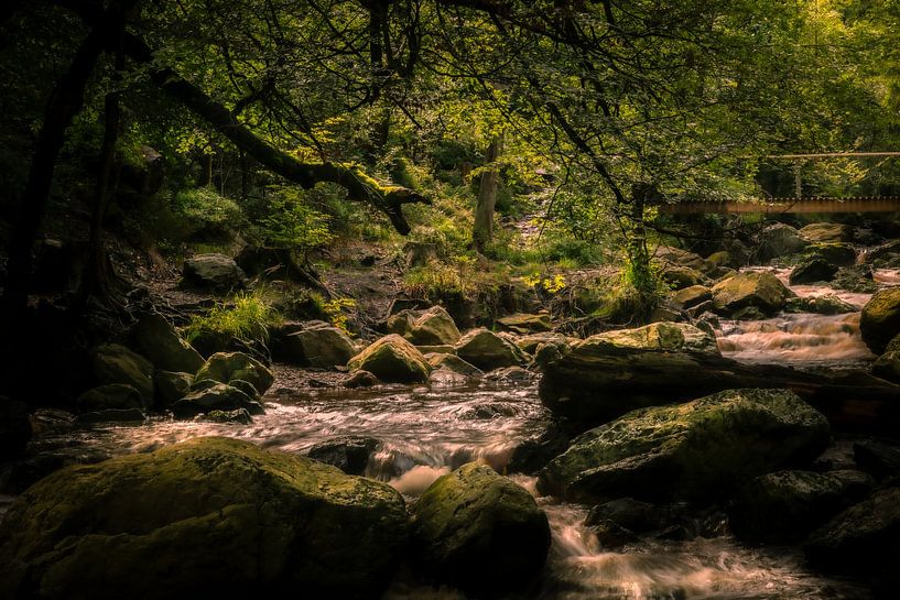 La Hoegne 4 von Geert Huyskens Photography
