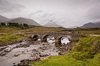 Pont @ Sligaghan (Ecosse)
