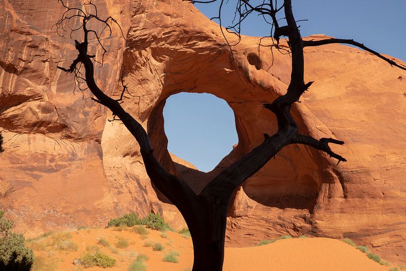 Monument Valley, Navajo Tribal Park. Arizona, USA. von Gert Hilbink