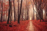 Heidnische Dichtkunst