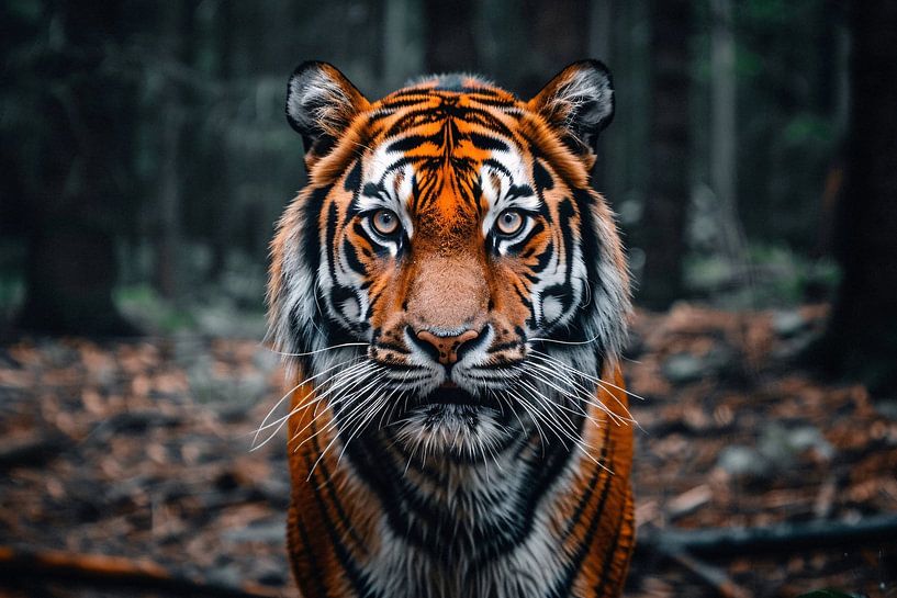 Realistischer Tiger in Waldumgebung von Art & Soul Creations