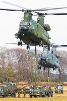 Les hélicoptères de transport Chinook au travail !