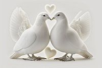 L'amour est dans l'air - deux tourtereaux blancs