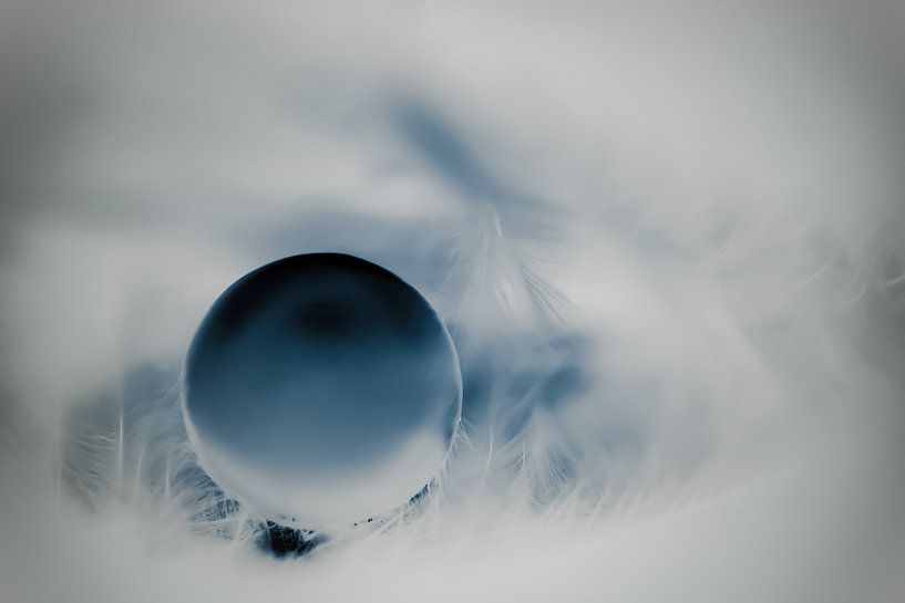 In the morning mist... by Louise Schippers