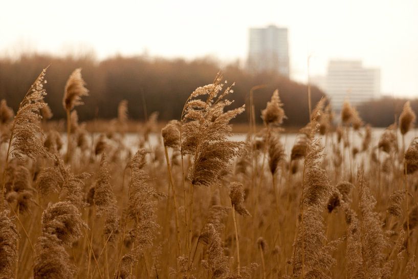 Zonnige dag langs het Weerwater in Almere van André van Bel