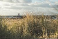 Nördlicher Hafenkopf Scheveningen