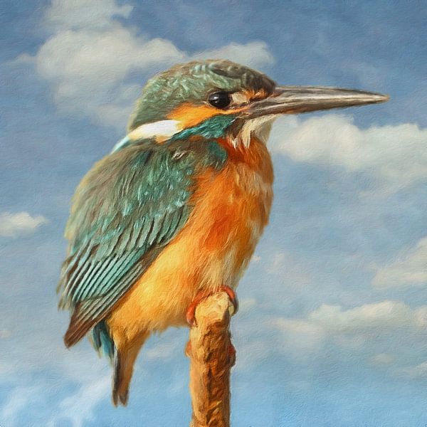 Kingfisher par Marja van den Hurk