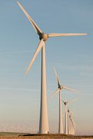 Niederländische Windmühlen