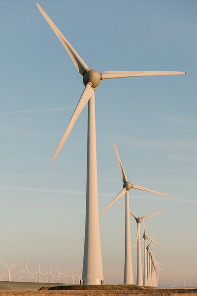 Dutch windmills by Joke van Veen