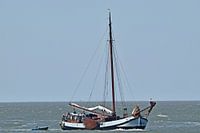 Het bruine vloot schip Stânfries