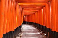 Fushimi Inari Japan
