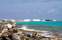 De zoutvlaktes van Bonaire