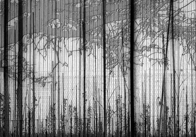 vertikalen von Henk Speksnijder