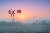 Moulin à vent dans le brouillard