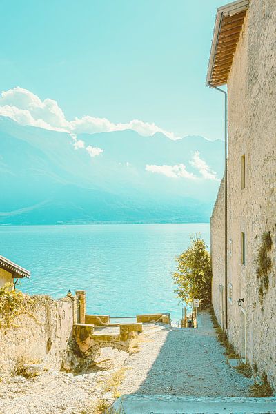 Dog Beach von Michael Schulz-Dostal