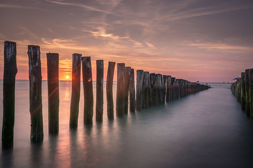 Touchdown van Bas Holtrop