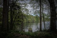 Melancholischer Ort in der Natur