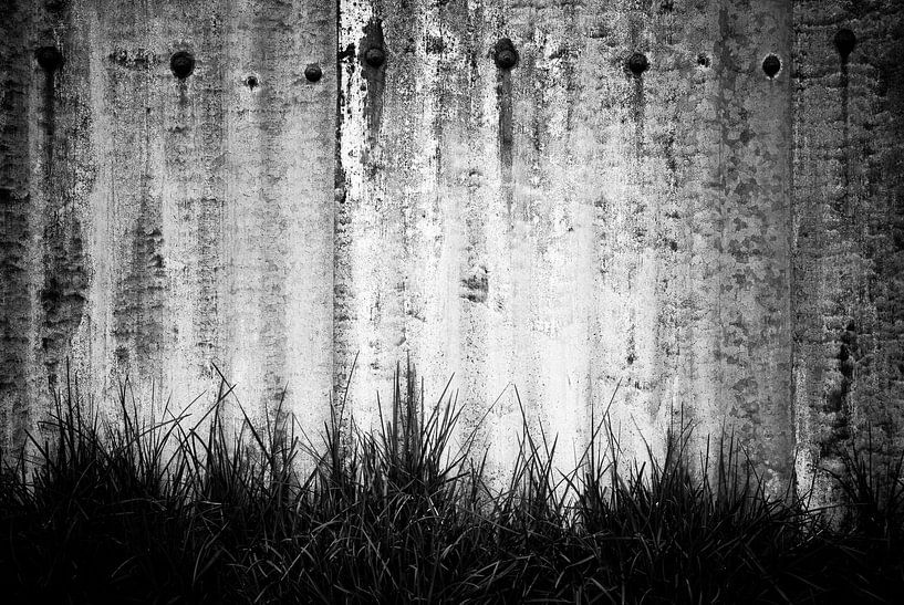 steelgrass by Rene Post