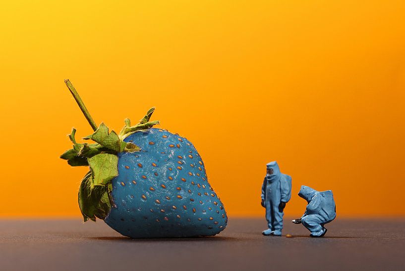 genetic manipulation by Remko Killaars