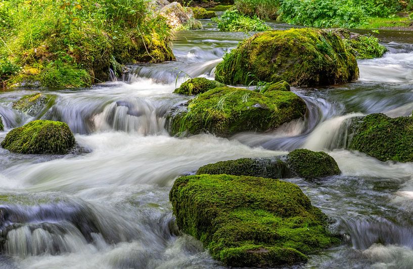 Fluss im Triebtal Vogtland Cascade Natur von Animaflora PicsStock