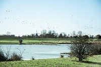 Typisch Nederlands landschap