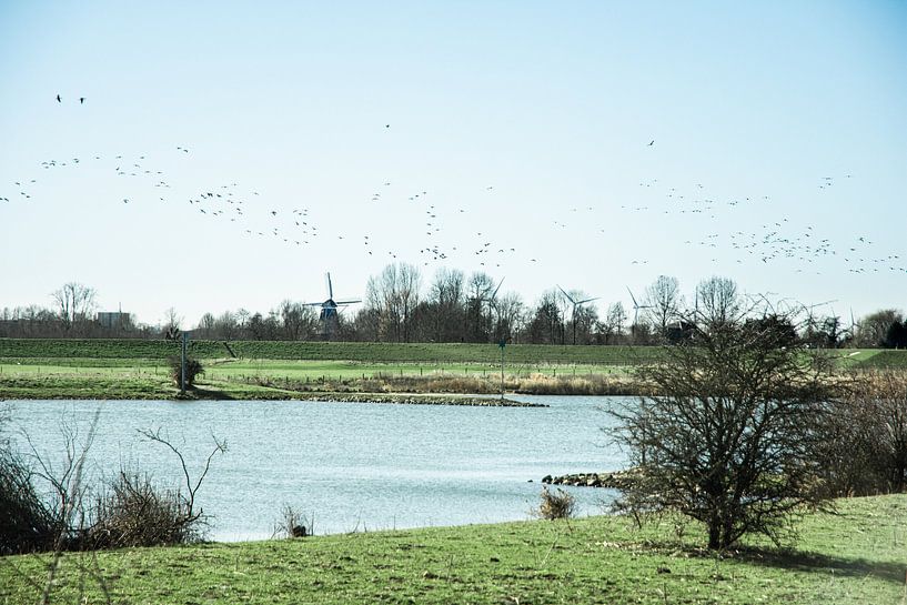 Typische niederländische Landschaft von Jan Willem De Vos