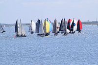 Zeilen op het Quackjes water 