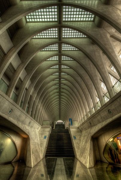 Backbone par Frank Quax