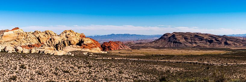 Panorama woestijnlandschap Red Rock Canyon in Nevada USA van Dieter Walther