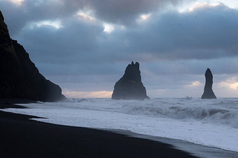 Baie de Reynisfjara, Vik, Islande, Europe par Alexander Ludwig