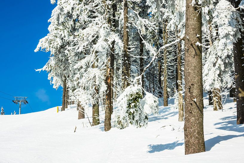 Winter im Riesengebirge bei Janske Lazne, Tschechien par Rico Ködder