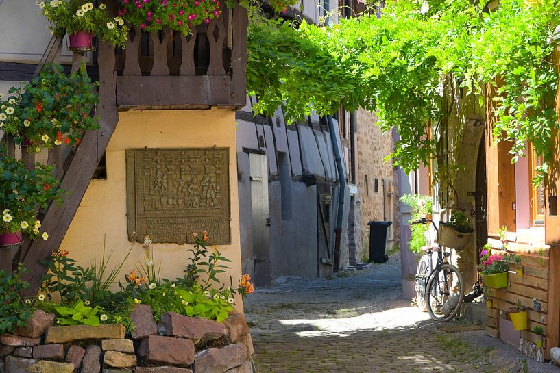 Village idyll in Eguisheim in Alsace by Tanja Voigt