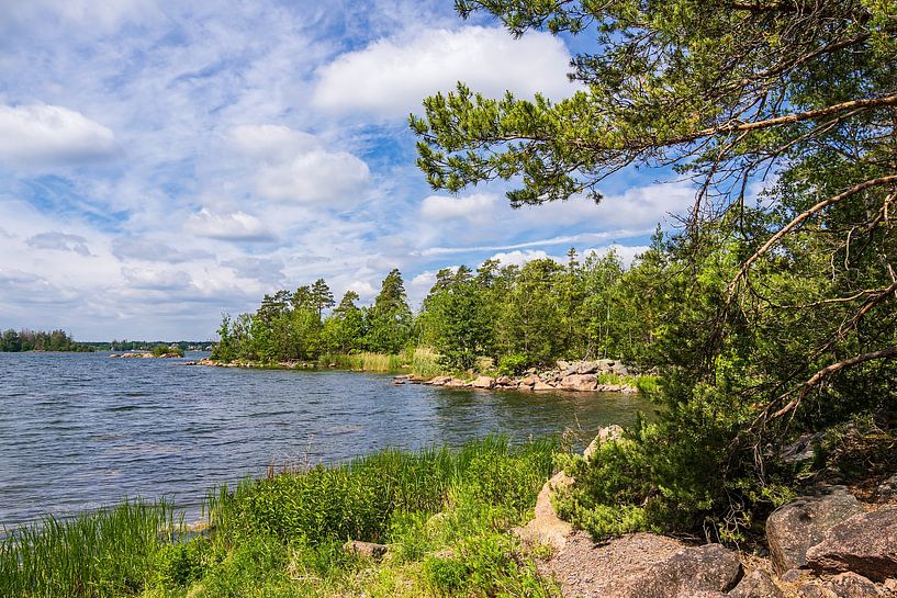 Ostseeküste mit Felsen und Bäumen bei Figeholm in Schweden von Rico Ködder