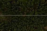 Ne regardez pas en bas - Pont suspendu Wildline de la Forêt-Noire