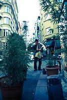 Vieil homme nourrissant des chats