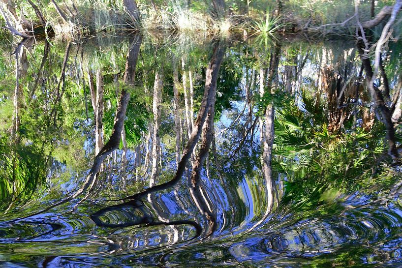 Noosa river art par Frank's Awesome Travels