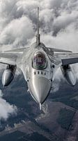 Luftaufnahme einer belgischen F-16AMNahaufnahme einer belgischen F-16AM im Flug