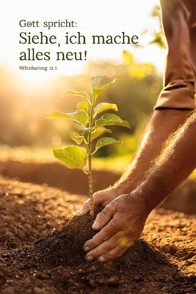 Jahreslosung 2026 Motiv Baumpflanzen von Jonathan Schöps | UNDARSTELLBAR.DE — Visuelle Gedanken zu Gott