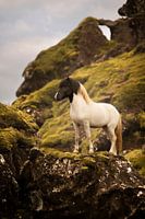 Force colorée dans l'Islande sauvage