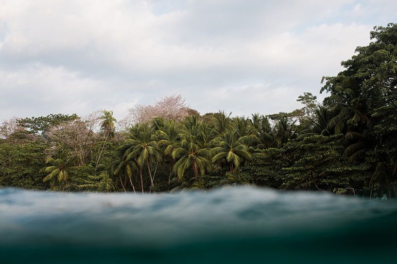 PAVONES par Melchior | Lifestyle Art Photography