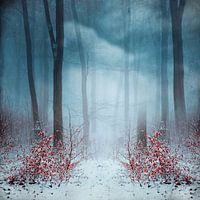 Forêt nuageuse mystique en hiver