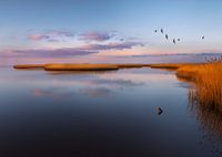 Colors of the North 3